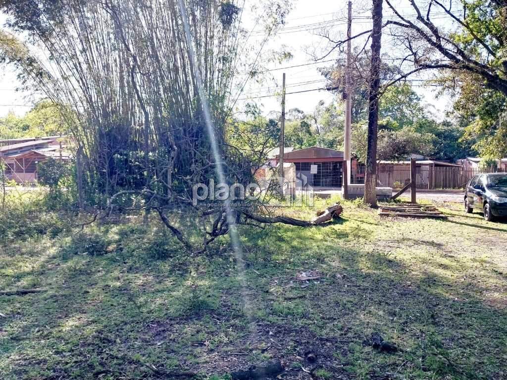 Terreno para aluguel, com 3.850m², - São Vicente - Alphaville - Gravataí / RS por R$ 1.400,00: 