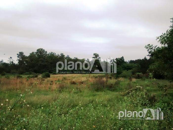Terreno para aluguel, com 2.999,2m², - Mato Alto - Gravataí / RS por R$ 1.560,00: 