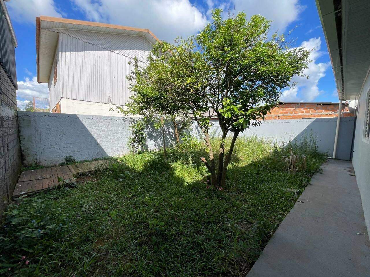 11477 – Foto 13