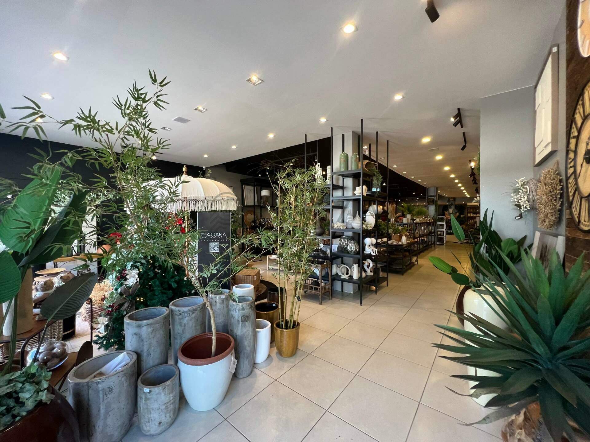 13064 – Foto 10