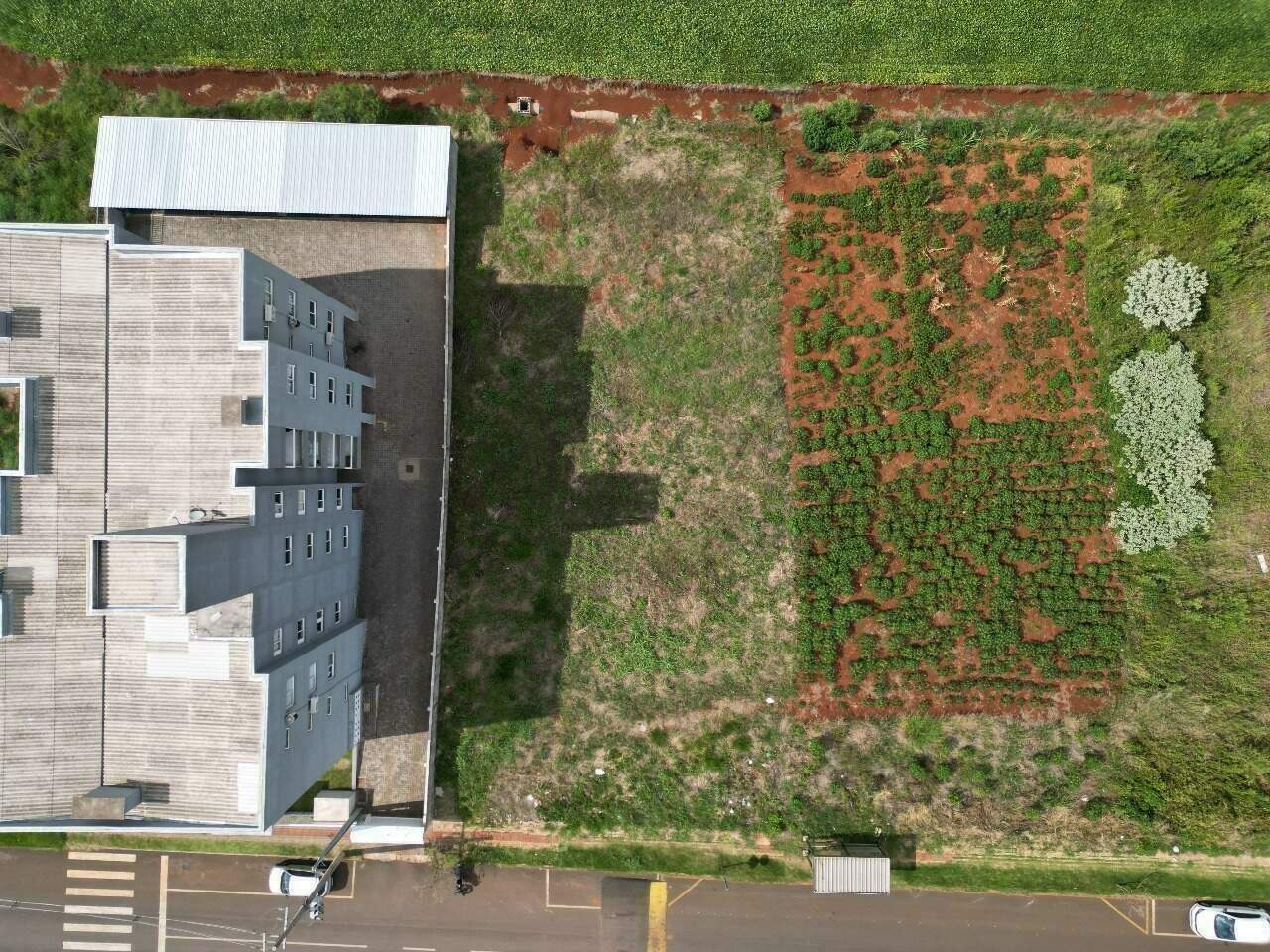 Terreno para alugar com 800m² no Belvedere em Chapecó – Foto 2