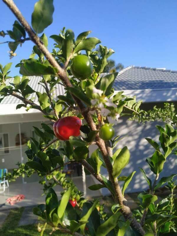 13712 – Foto 27