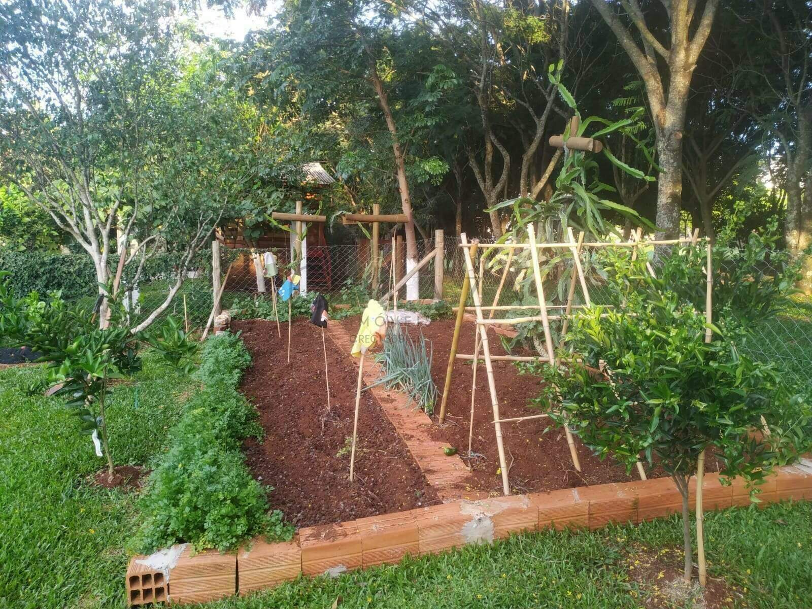 13712 – Foto 10