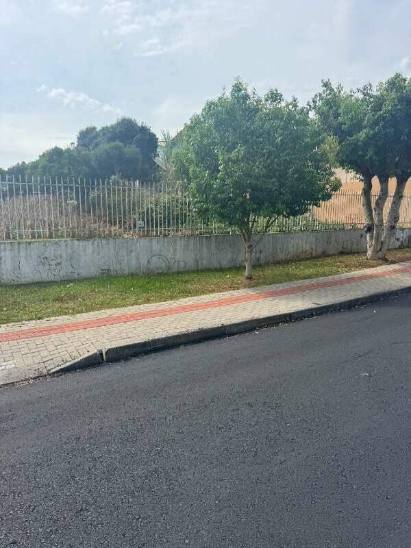 13714 – Foto 2