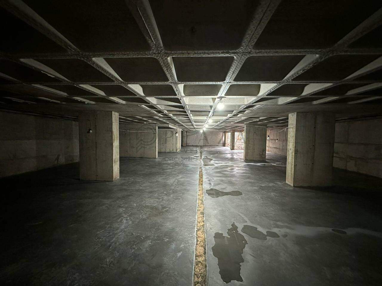 13719 – Foto 6