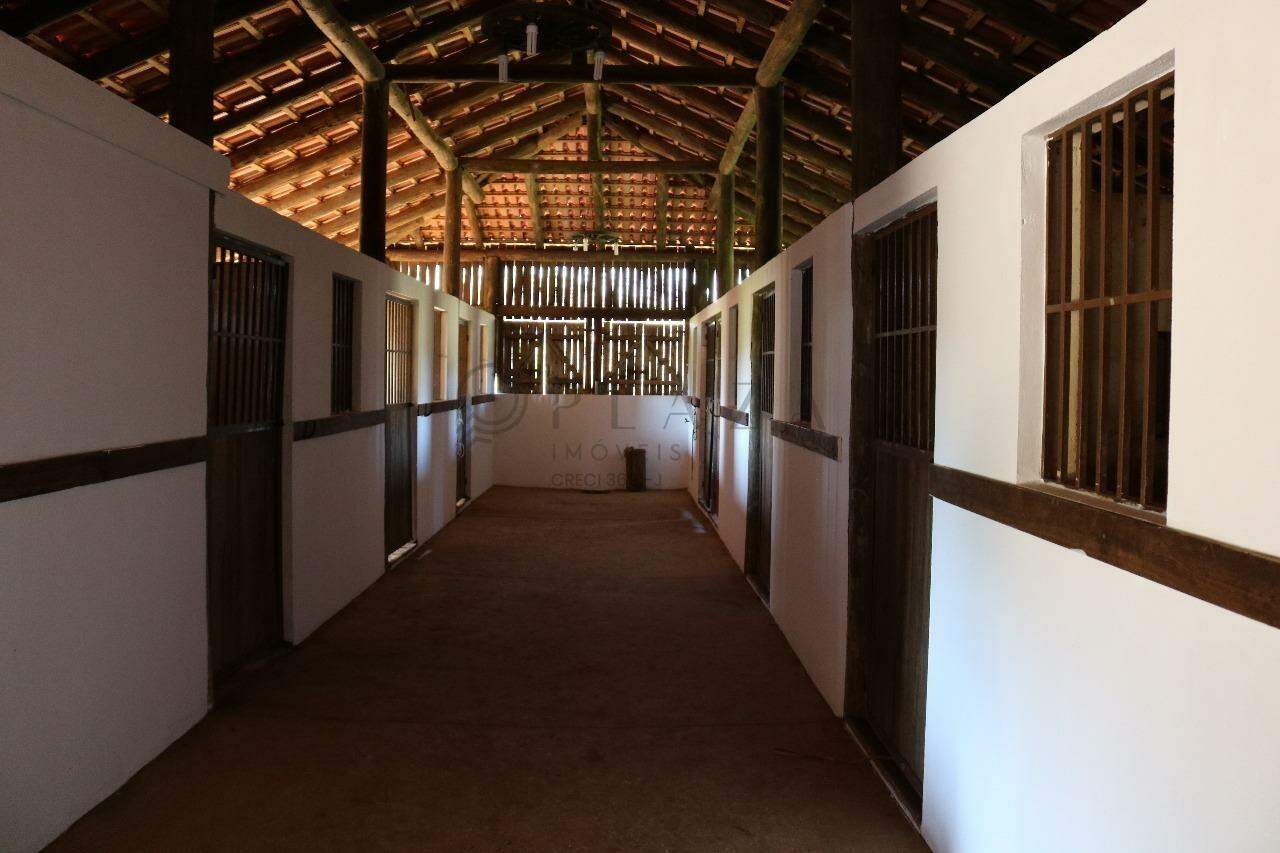 13771 – Foto 8