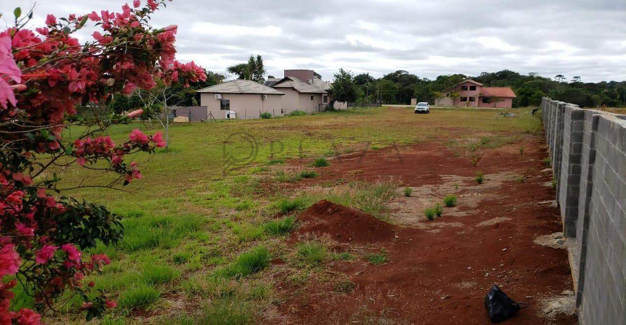 13776 – Foto 1