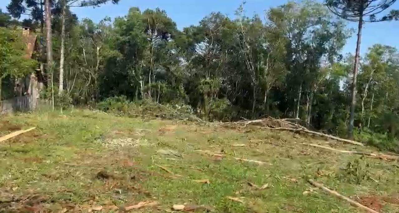 13776 – Foto 2