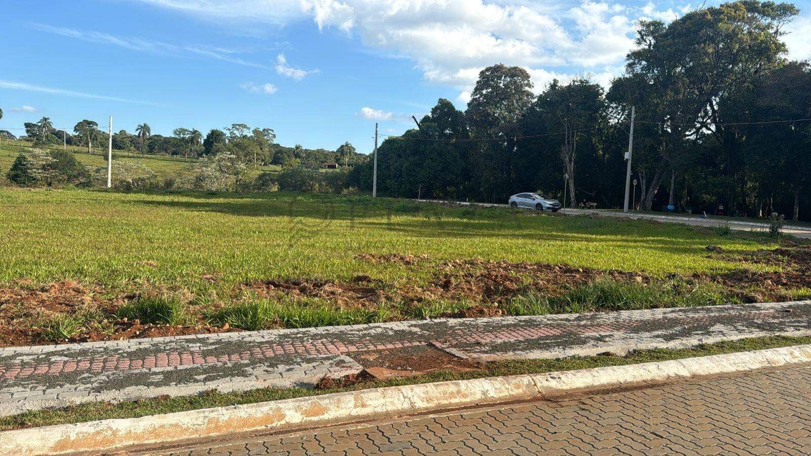 13832 – Foto 1