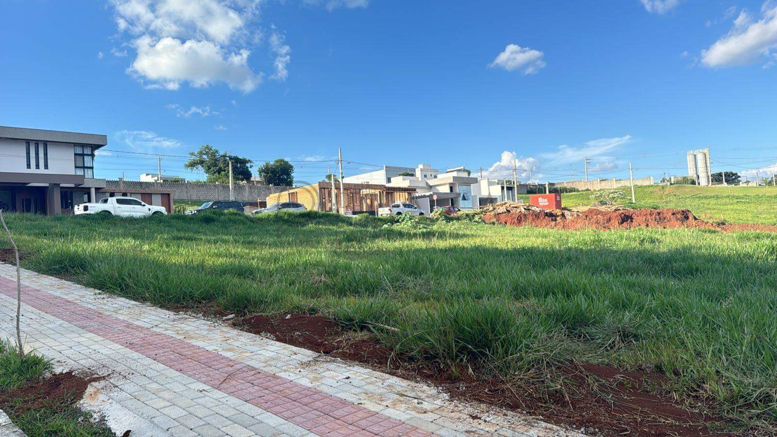 13832 – Foto 3
