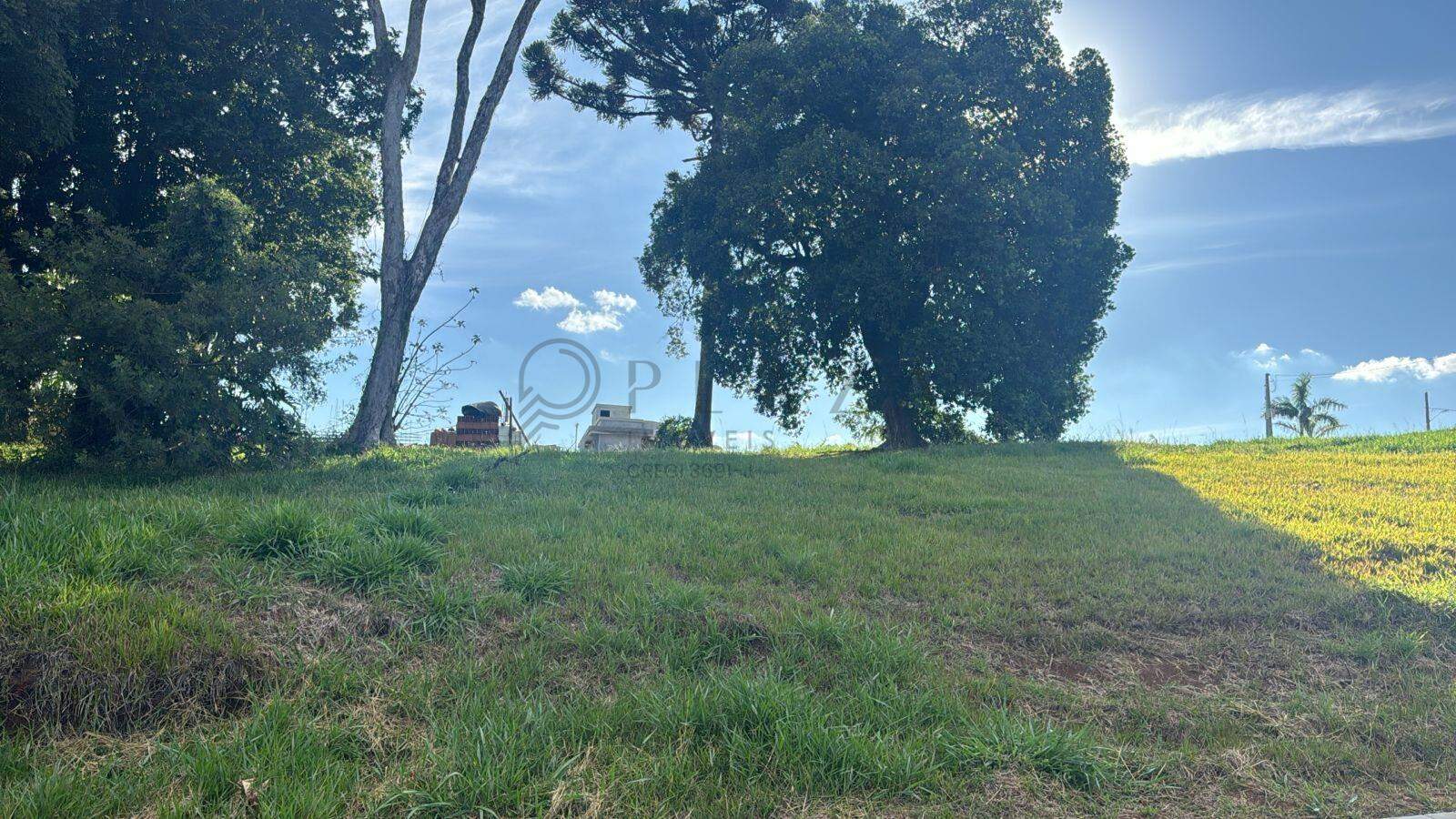 13832 – Foto 5