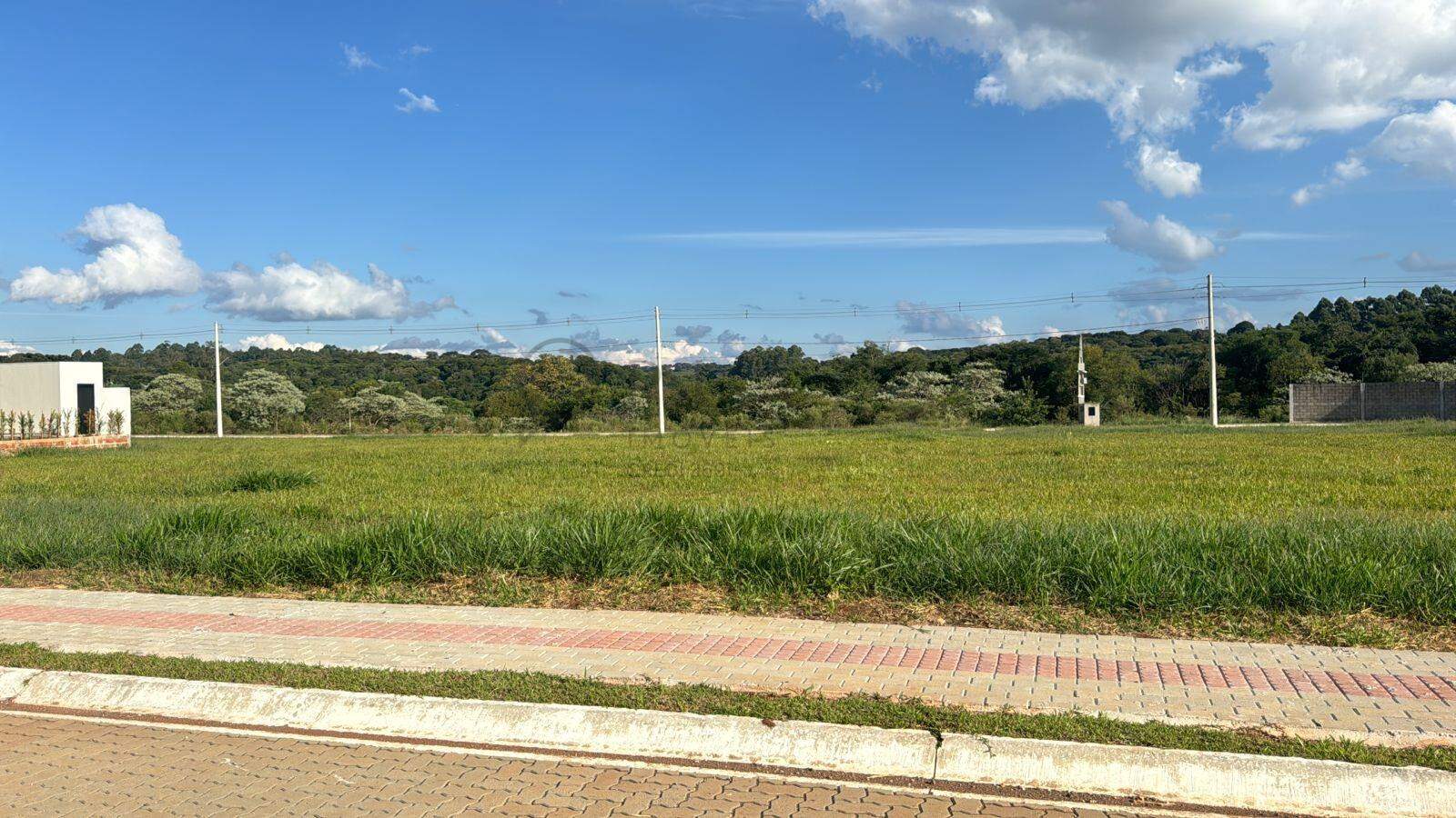 13832 – Foto 4