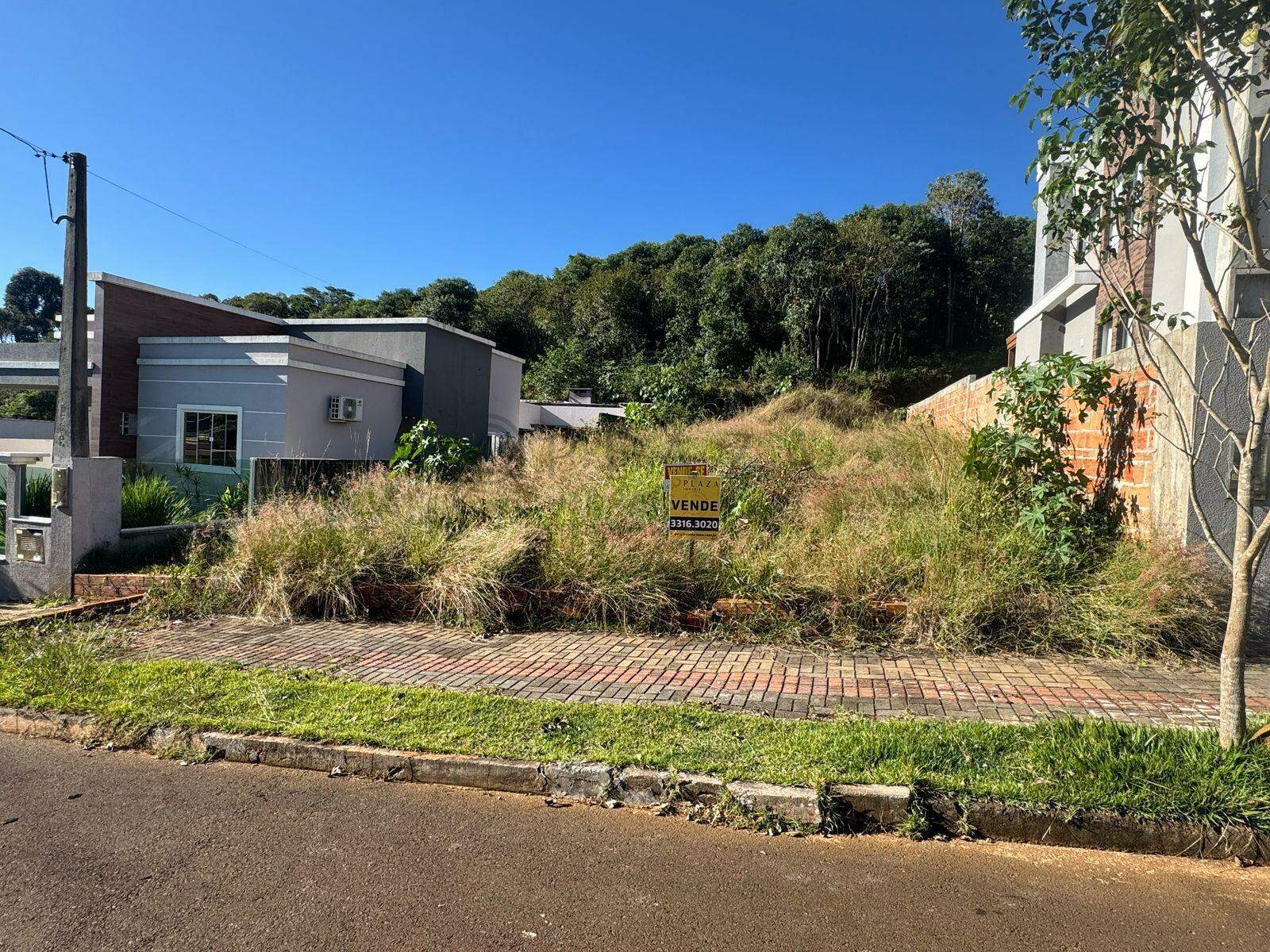13909 – Foto 1