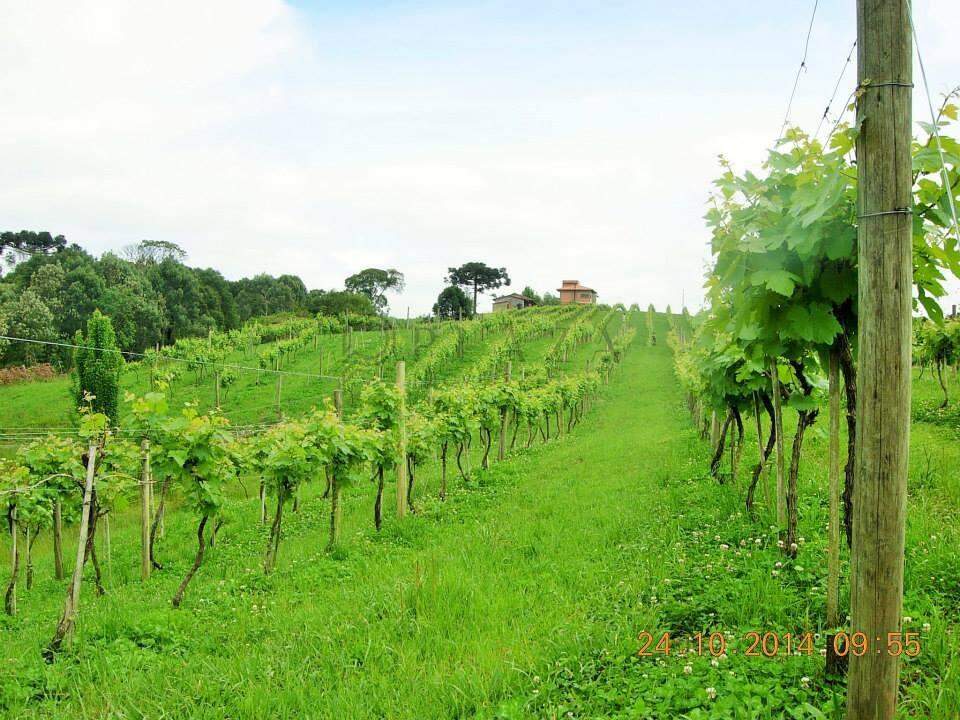 13945 – Foto 10