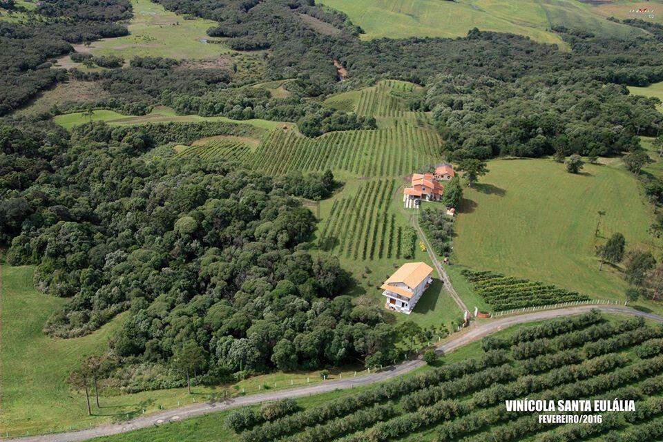 13945 – Foto 5