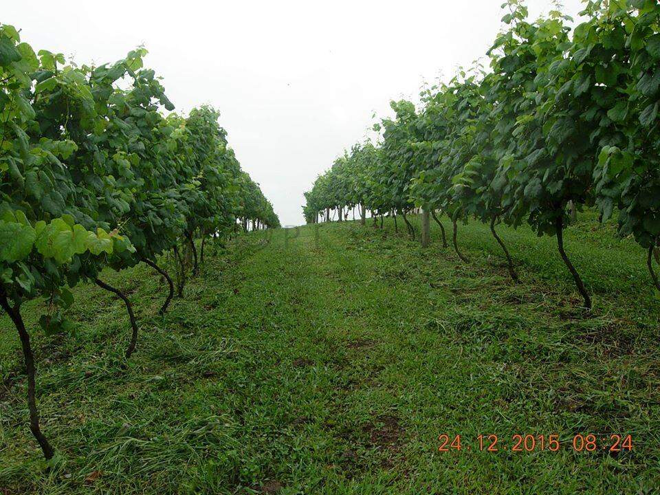 13945 – Foto 9