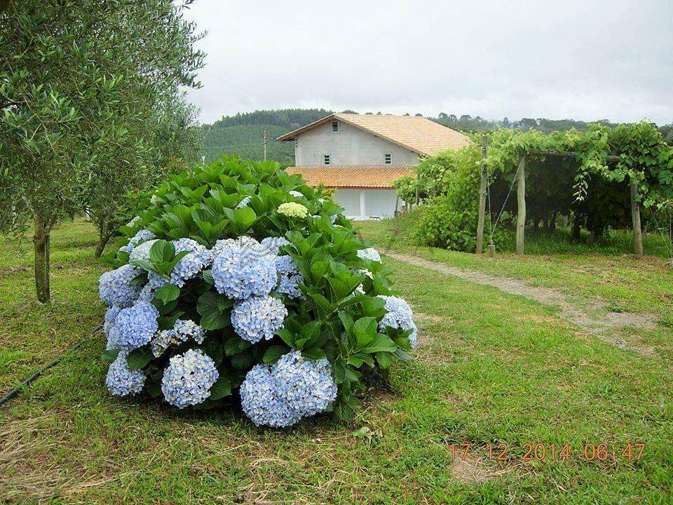 13945 – Foto 3