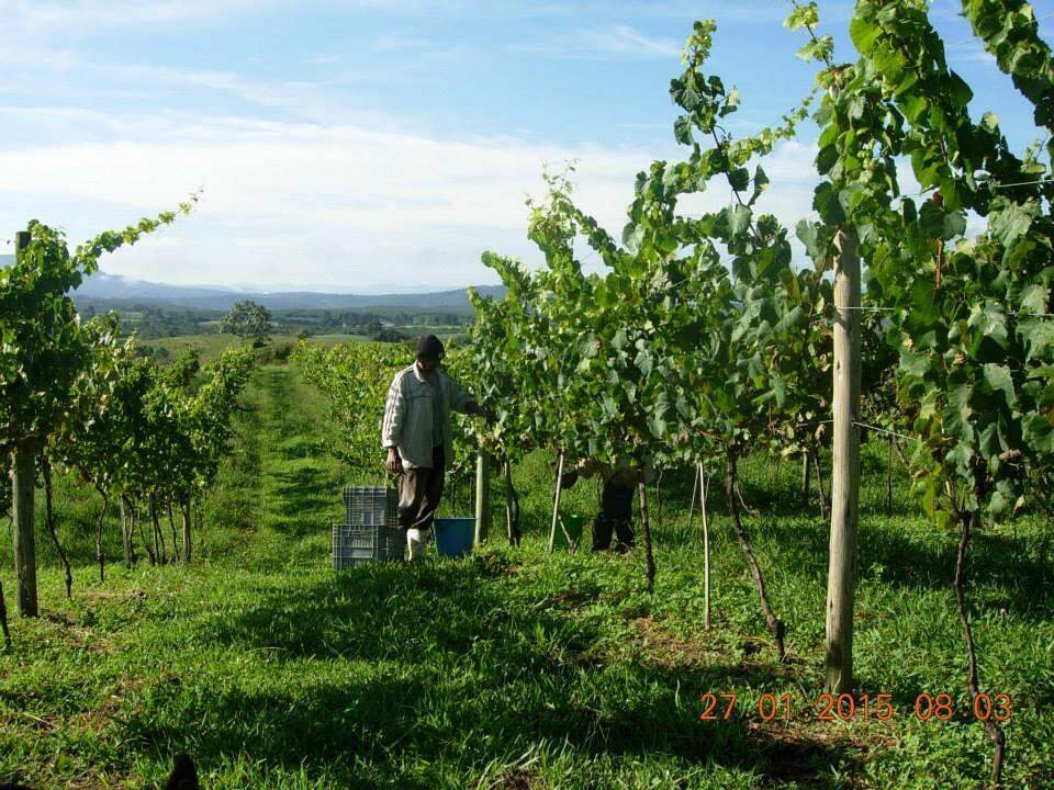 13945 – Foto 7