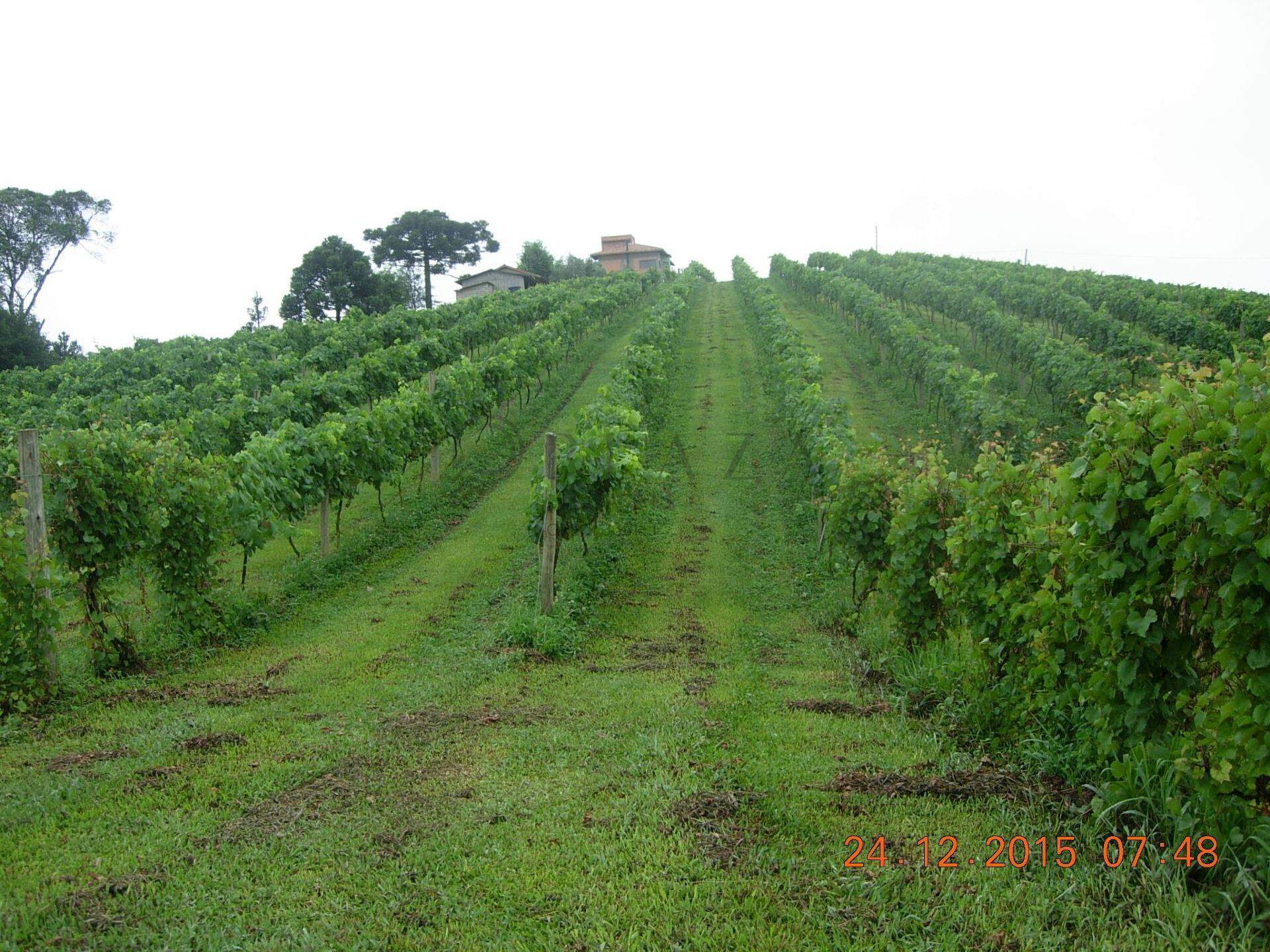 13945 – Foto 2