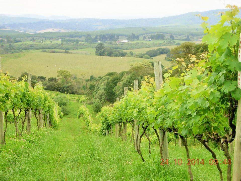 13945 – Foto 11