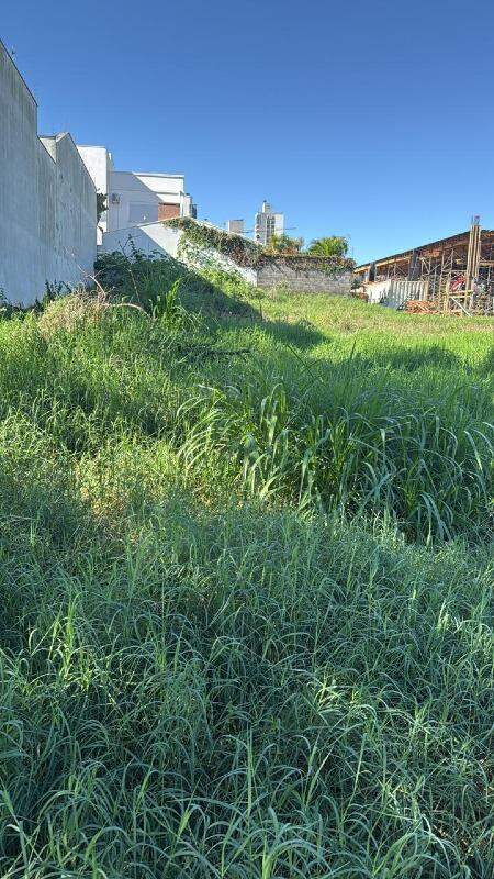 13977 – Foto 2