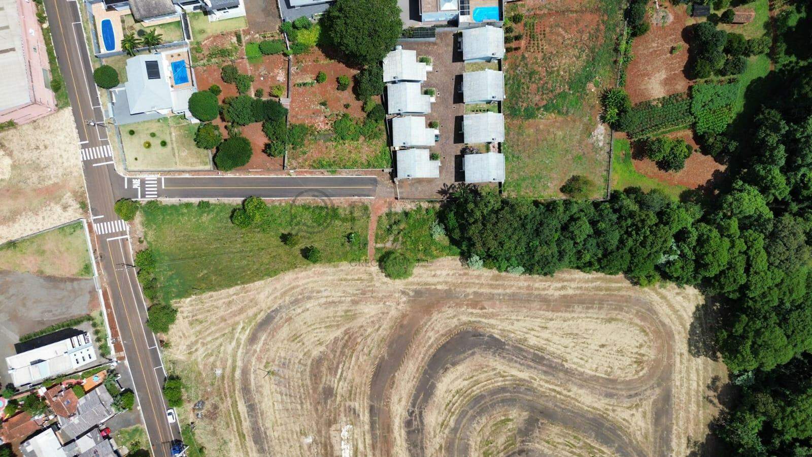 Terreno à venda com 3.300m² no Trevo em Chapecó - Foto 4