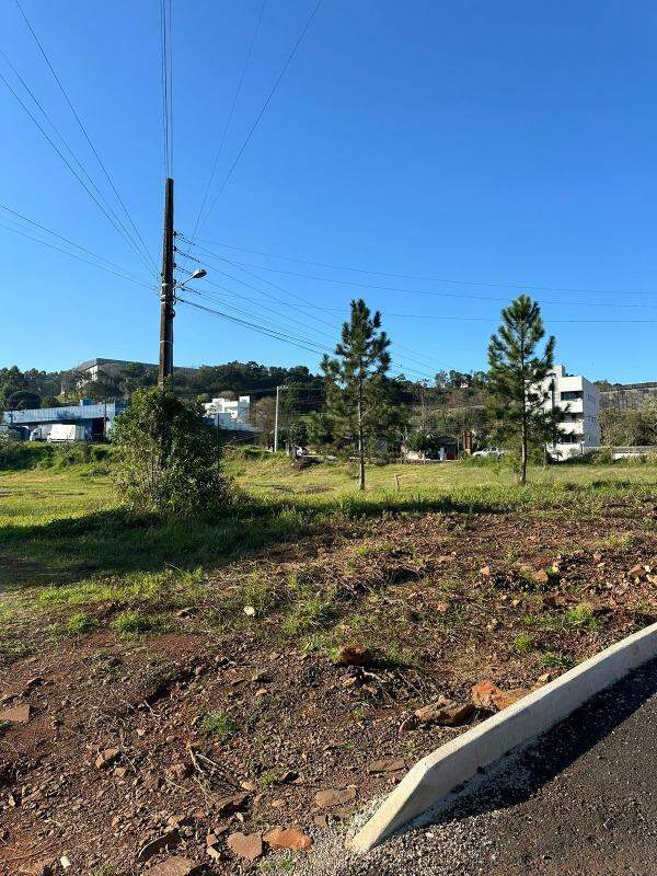 Terreno à venda com 3.300m² no Trevo em Chapecó - Foto 2