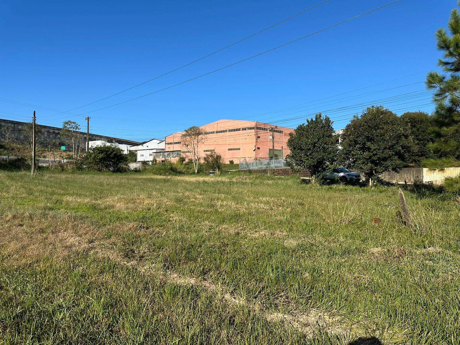 Terreno à venda com 3.300m² no Trevo em Chapecó - Foto 7