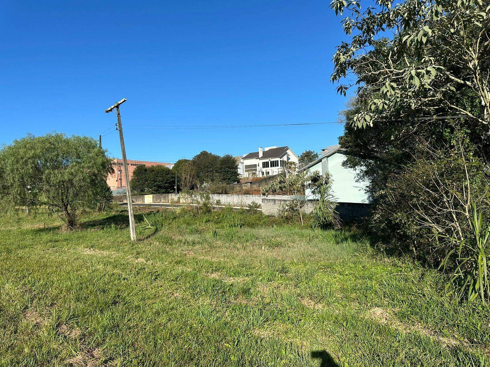 Terreno à venda com 3.300m² no Trevo em Chapecó - Foto 8