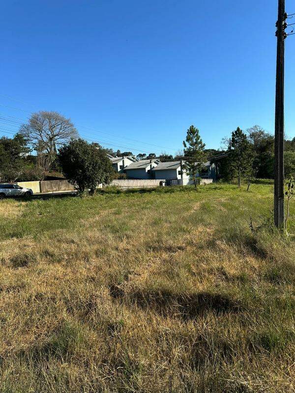 Terreno à venda com 3.300m² no Trevo em Chapecó - Foto 6