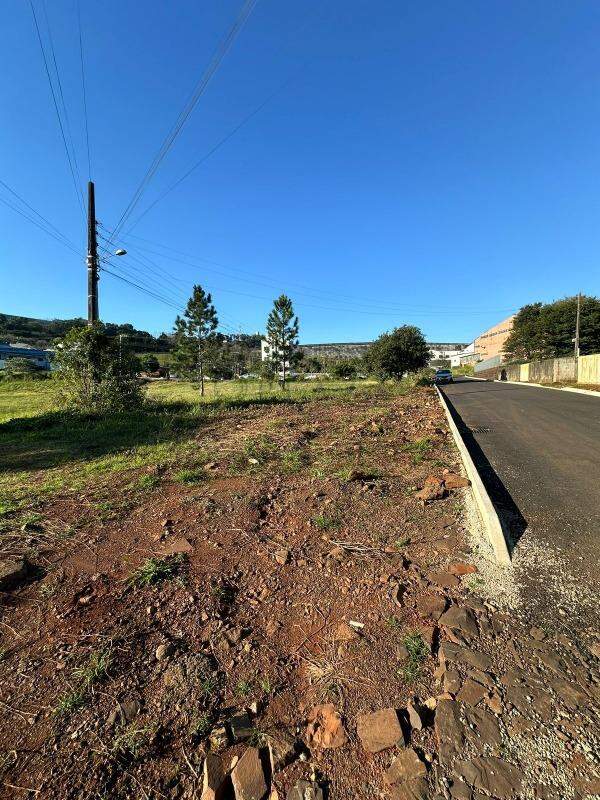Terreno à venda com 3.300m² no Trevo em Chapecó - Foto 3