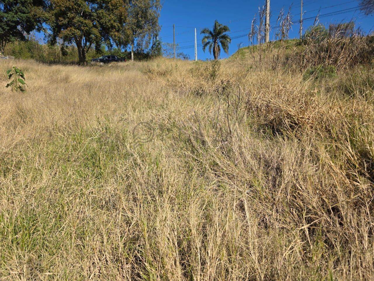 14169 – Foto 10