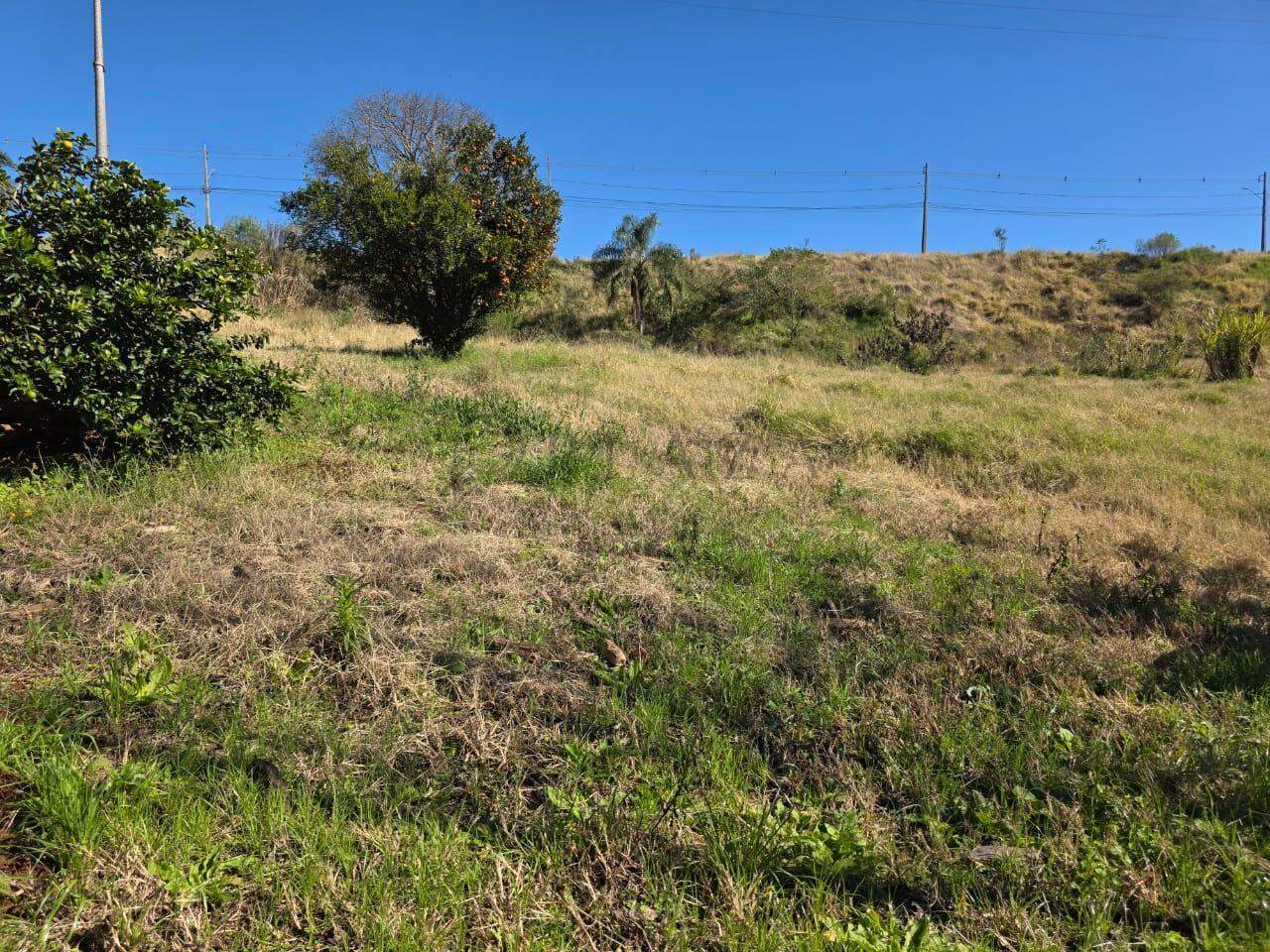 Área Rural à venda com 20.488m² no Área Rural de Chapecó em Chapecó - Foto 1