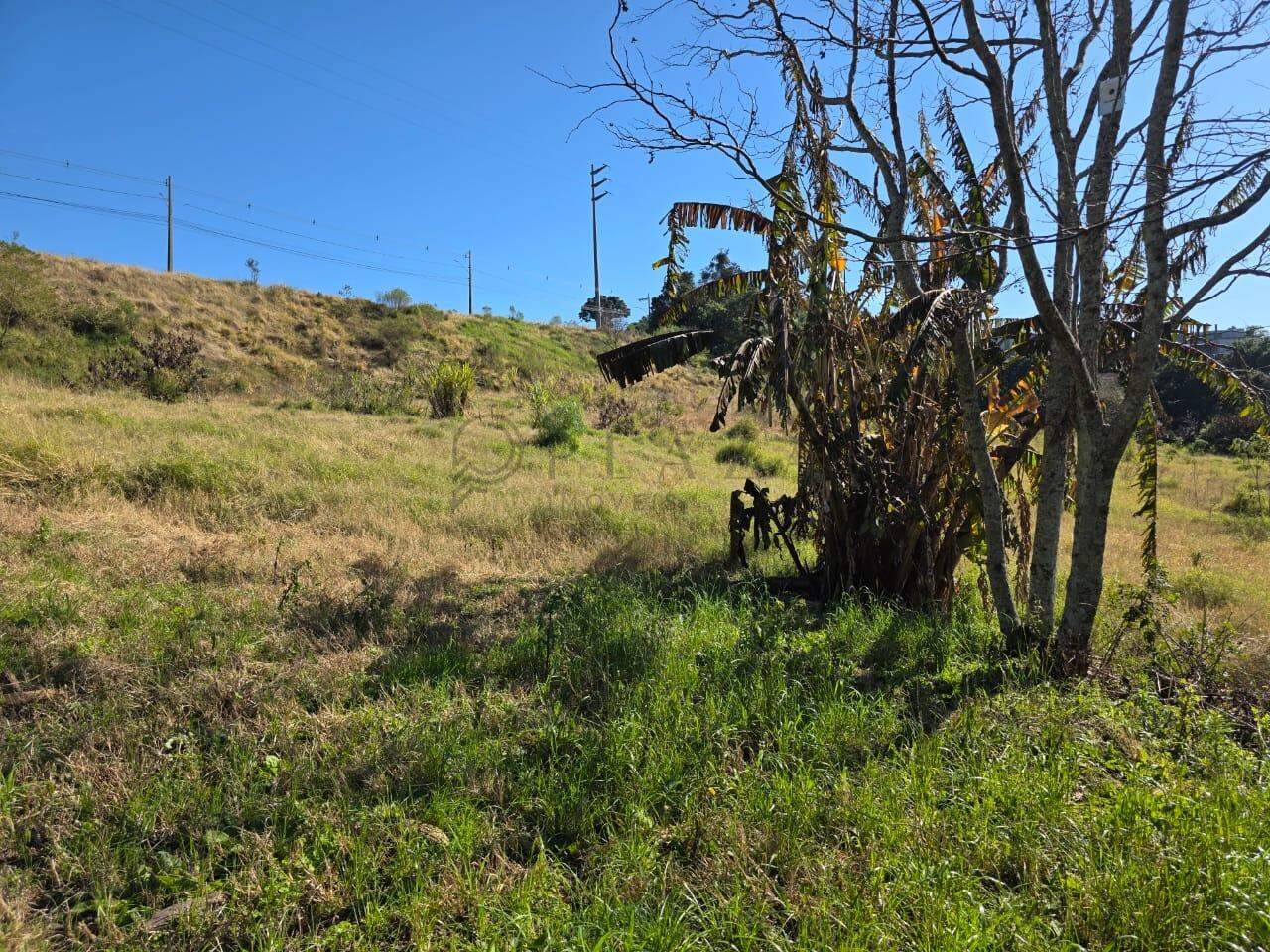 Área Rural à venda com 20.488m² no Área Rural de Chapecó em Chapecó - Foto 4