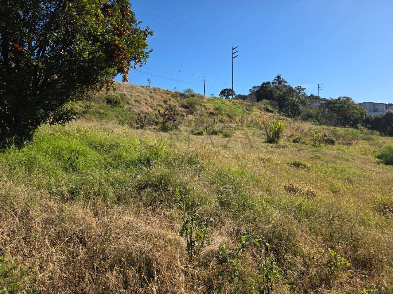 Área Rural à venda com 20.488m² no Área Rural de Chapecó em Chapecó - Foto 7