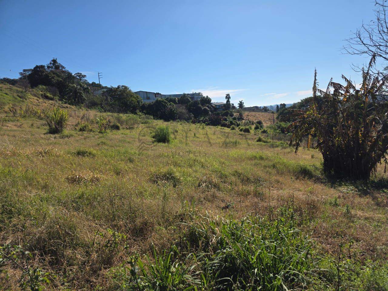 Área Rural à venda com 20.488m² no Área Rural de Chapecó em Chapecó - Foto 2