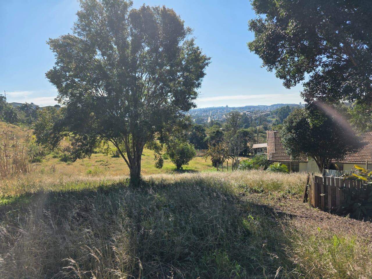 Área Rural à venda com 20.488m² no Área Rural de Chapecó em Chapecó - Foto 3