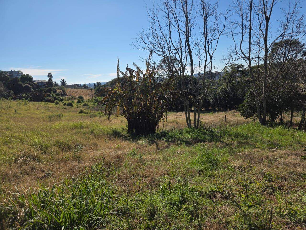 Área Rural à venda com 20.488m² no Área Rural de Chapecó em Chapecó - Foto 6