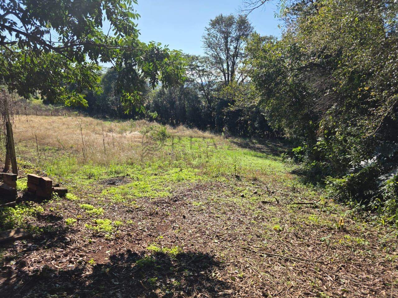 Área Rural à venda com 20.488m² no Área Rural de Chapecó em Chapecó - Foto 8