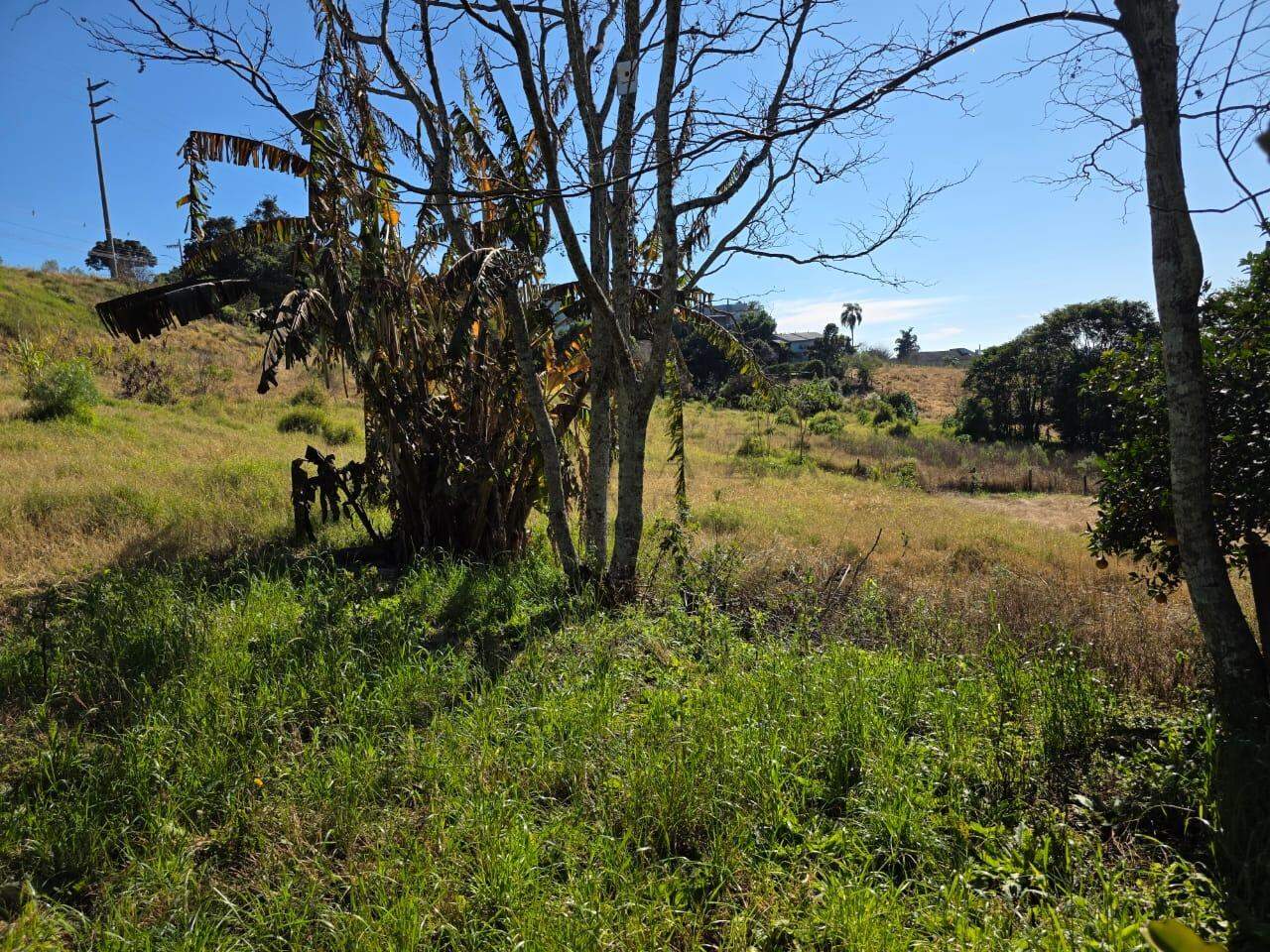 14169 – Foto 19