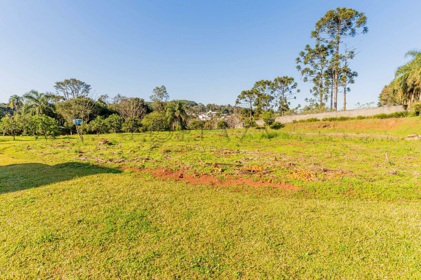 Chácara / Sítio à venda com 720m² no Rodeio Chato em Chapecó – Foto 4
