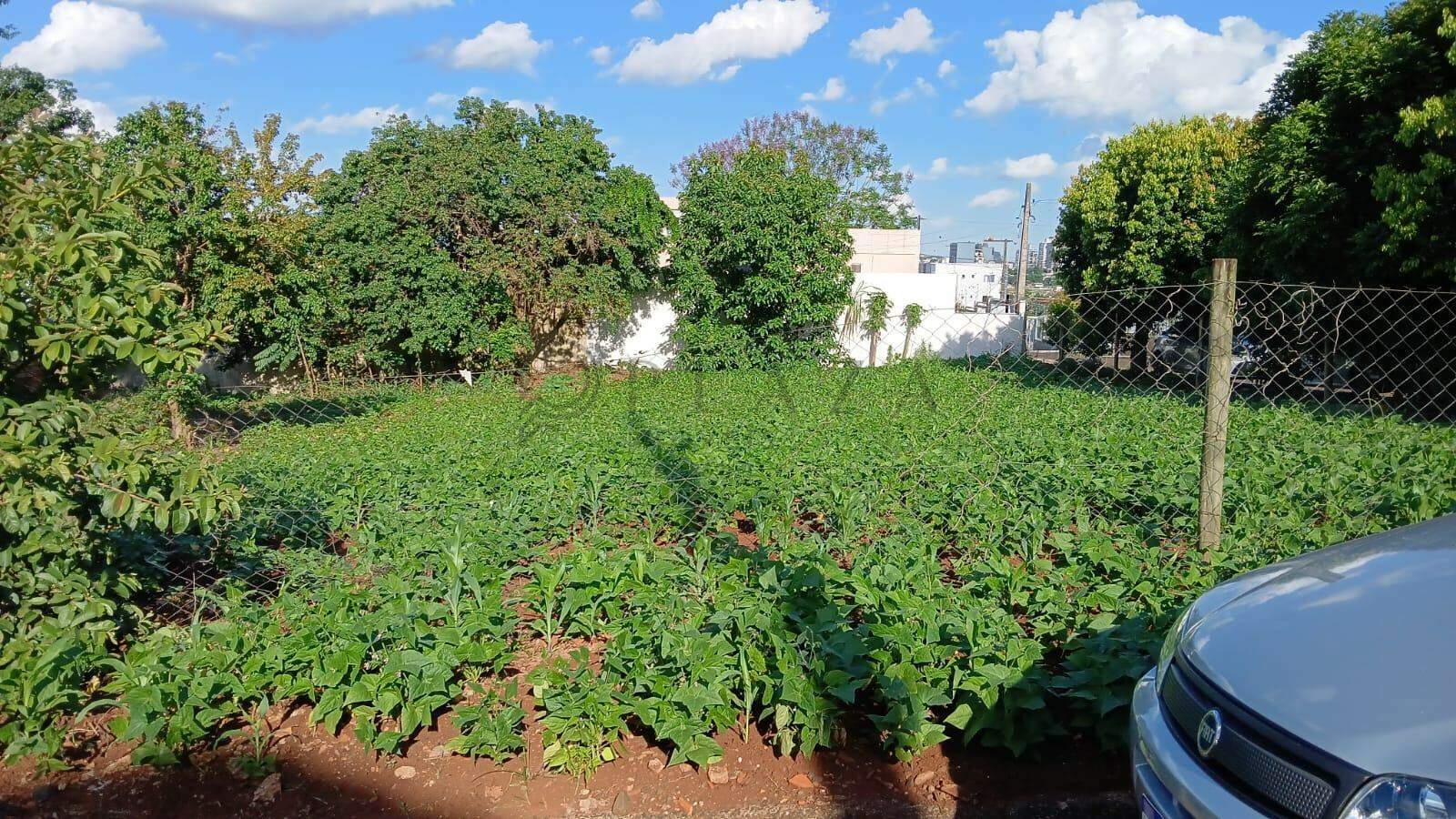 Terreno à venda com 454m² no Parque das Palmeiras em Chapecó – Foto 1