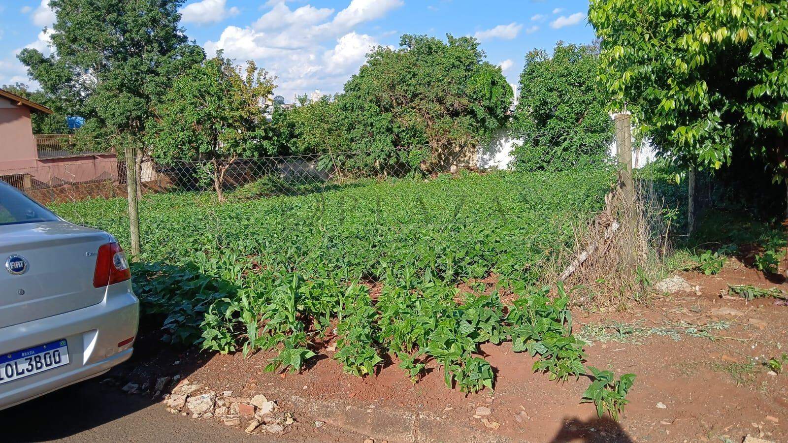 Terreno à venda com 454m² no Parque das Palmeiras em Chapecó – Foto 2