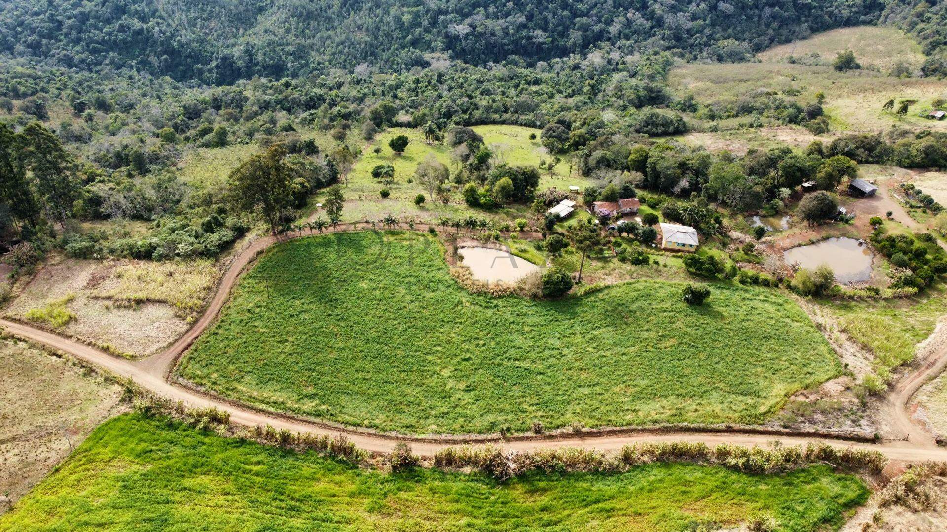 Chácara / Sítio à venda com 9.000m² no Interior em Chapecó – Foto 2