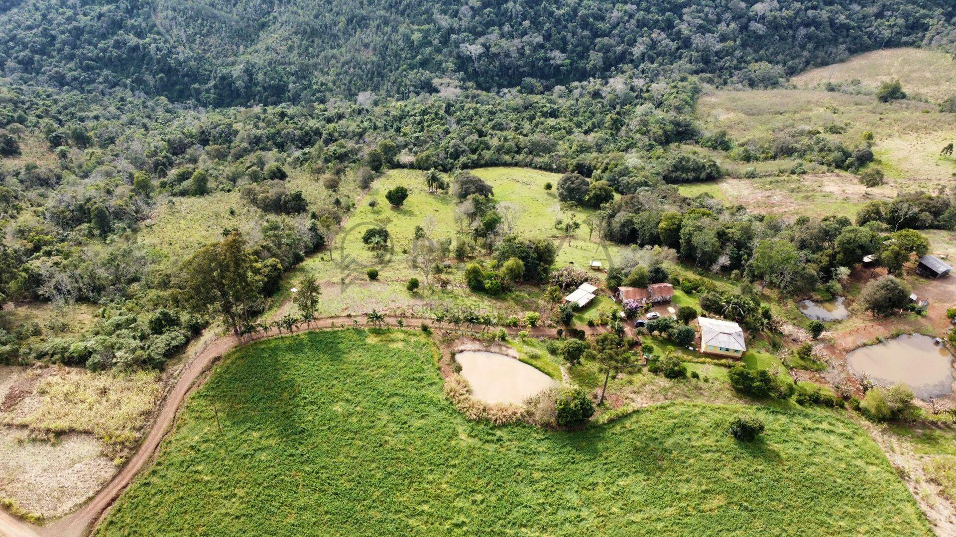 Chácara / Sítio à venda com 9.000m² no Interior em Chapecó – Foto 3