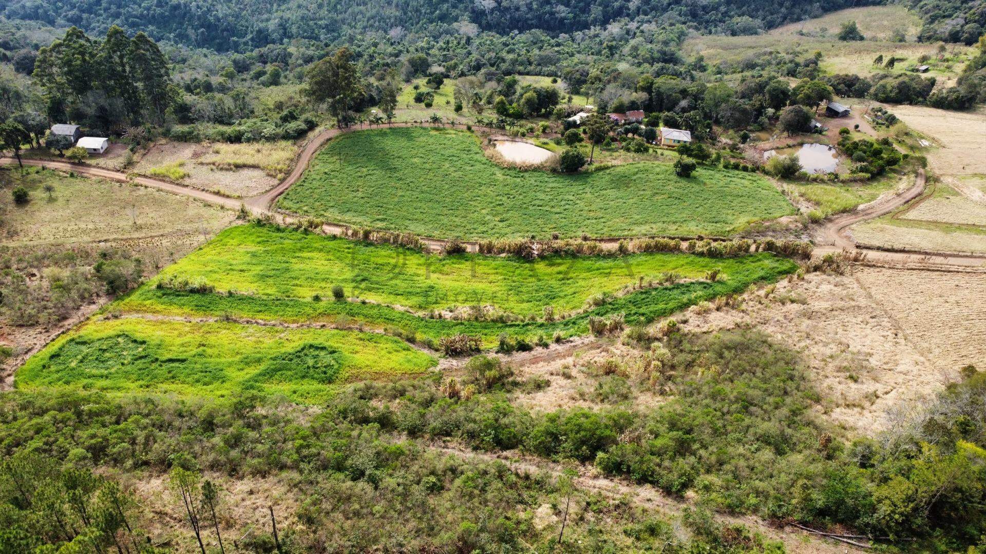 Chácara / Sítio à venda com 9.000m² no Interior em Chapecó – Foto 7