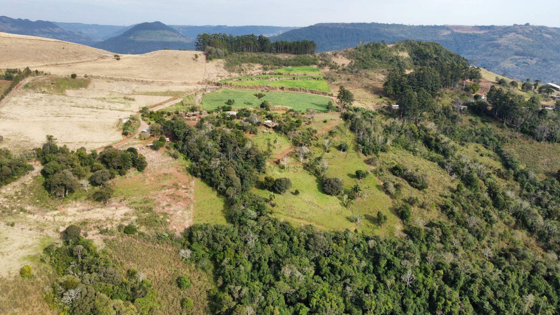 Chácara / Sítio à venda com 9.000m² no Interior em Chapecó – Foto 4