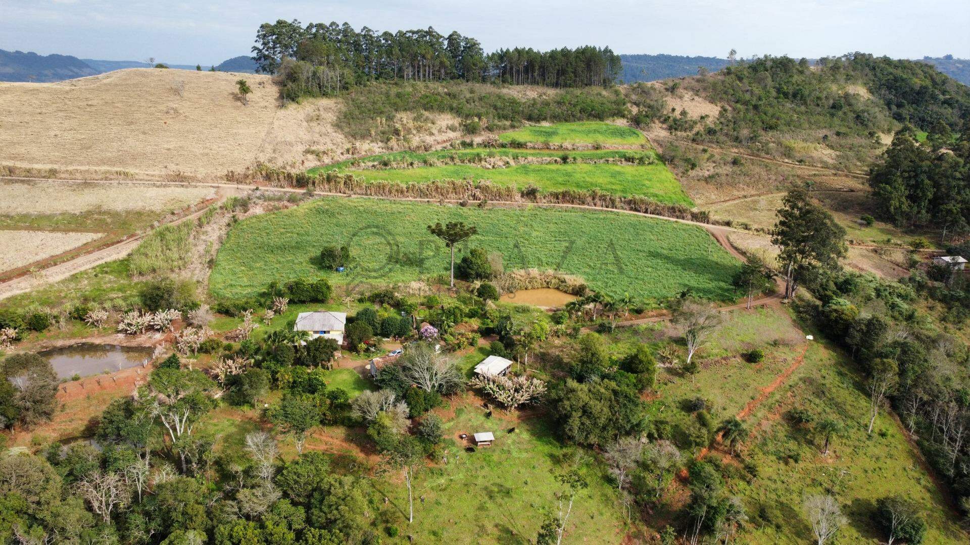 Chácara / Sítio à venda com 9.000m² no Interior em Chapecó – Foto 6