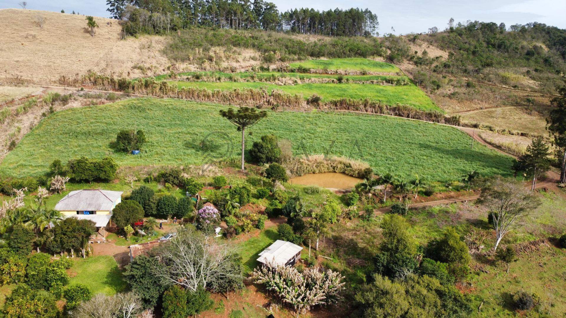 Chácara / Sítio à venda com 9.000m² no Interior em Chapecó – Foto 8