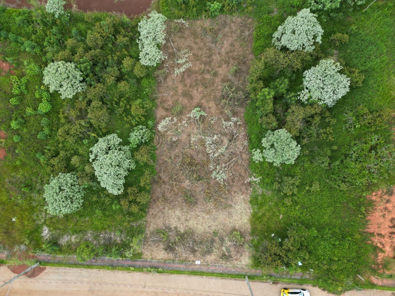 Terreno à venda com 600m² no Água Santa em Chapecó - Foto 4